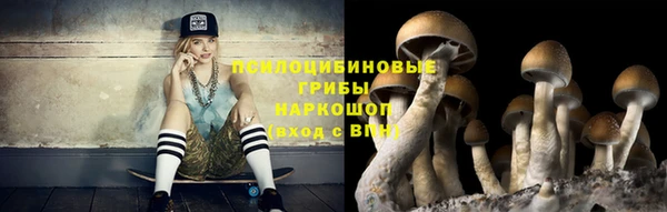 амфетамин Белокуриха